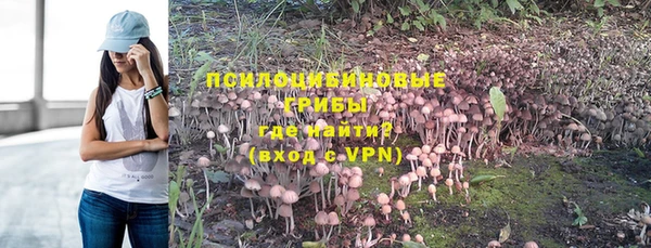 бошки Дмитриев