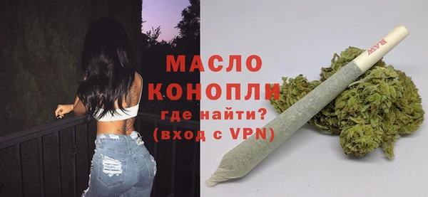 индика Медногорск