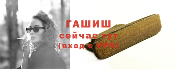 индика Медногорск