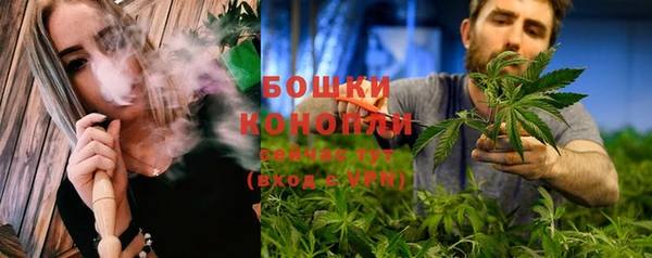 индика Медногорск