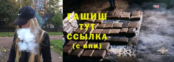 индика Медногорск