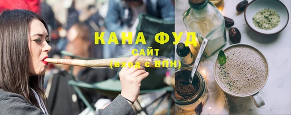 индика Медногорск