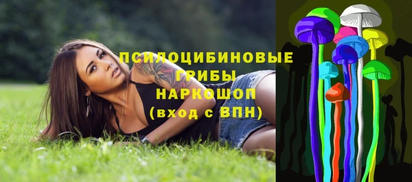 тгк Мегион