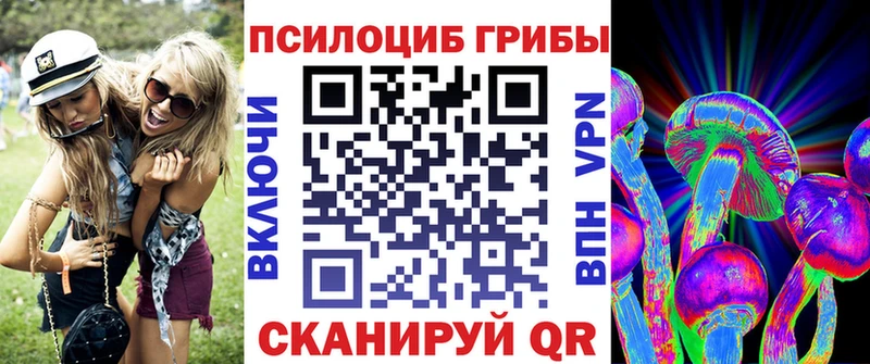 Псилоцибиновые грибы MAGIC MUSHROOMS  продажа наркотиков  Ершов 